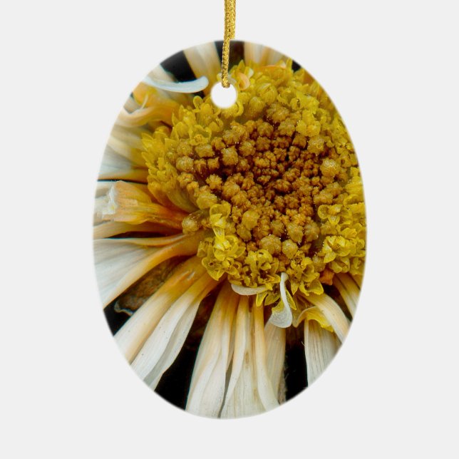 Ornamento De Cerâmica Flor - Margarida - Sol bêbado (Frente)