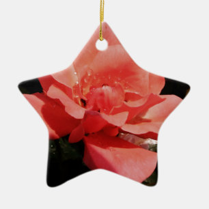 Ornamento De Cerâmica Flor Rosa Rosa Rosa Pêssego bonito