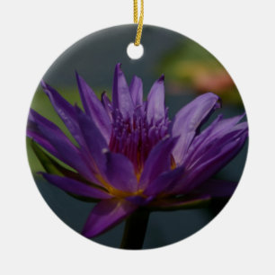Ornamento De Cerâmica Flor Waterlily Puro Lotus
