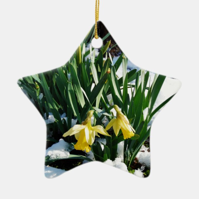 Ornamento De Cerâmica Flores amarelas Daffodils na neve (Frente)