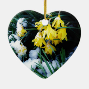 Ornamento De Cerâmica Flores amarelas Daffodils na neve