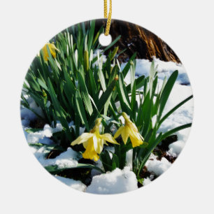 Ornamento De Cerâmica Flores amarelas dos Daffodils na neve