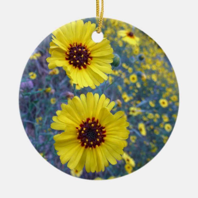 Ornamento De Cerâmica Flores Comuns Madia no Parque Nacional Sequoia (Frente)