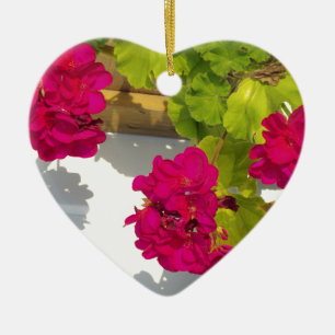 Ornamento De Cerâmica Flores cor-de-rosa Gerânio rosa