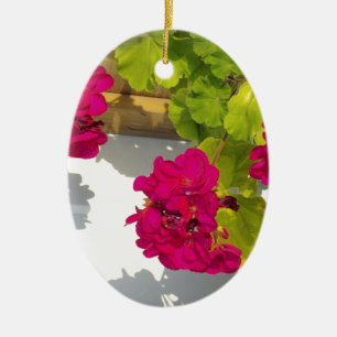 Ornamento De Cerâmica Flores cor-de-rosa Gerânio rosa