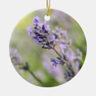 Ornamento De Cerâmica Flores da lavanda