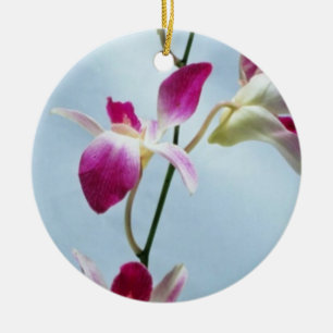 Ornamento De Cerâmica Flores da orquídea de Singapore