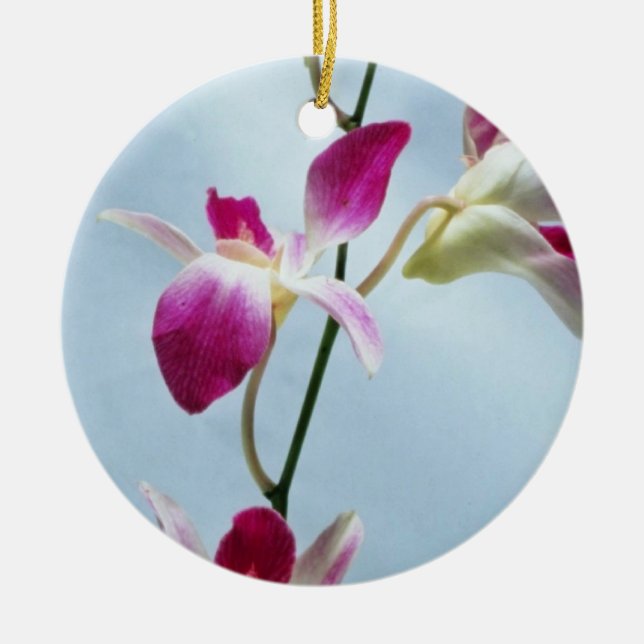 Ornamento De Cerâmica Flores da orquídea de Singapore (Frente)