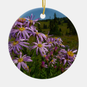 Ornamento De Cerâmica Flores de Aster Roxo no Monte Rainier