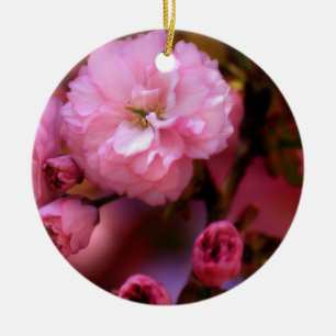 Ornamento De Cerâmica Flores de cerejeira bonitas do rosa do primavera
