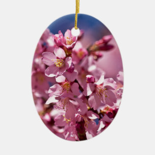Ornamento De Cerâmica Flores de Cerejeira Sakura Beijadas pela Luz do So