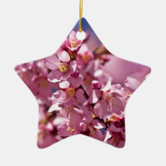 Ornamento De Cerâmica Flores de Cerejeira Sakura Beijadas pela Luz do So