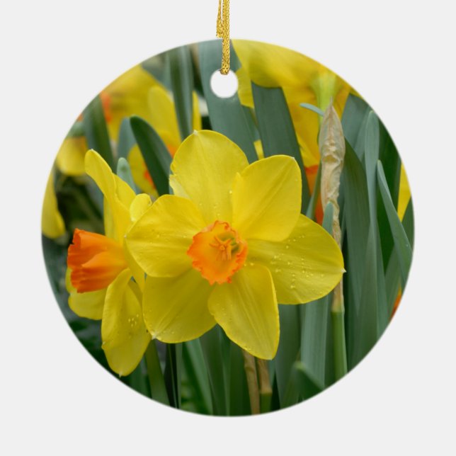 Ornamento De Cerâmica Flores De Mola Amarelo-Bonito Daffodil Floral (Traseira)