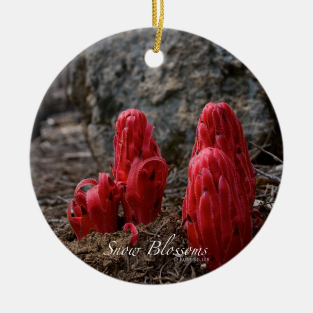 Ornamento De Cerâmica Flores de Neve (Frente)