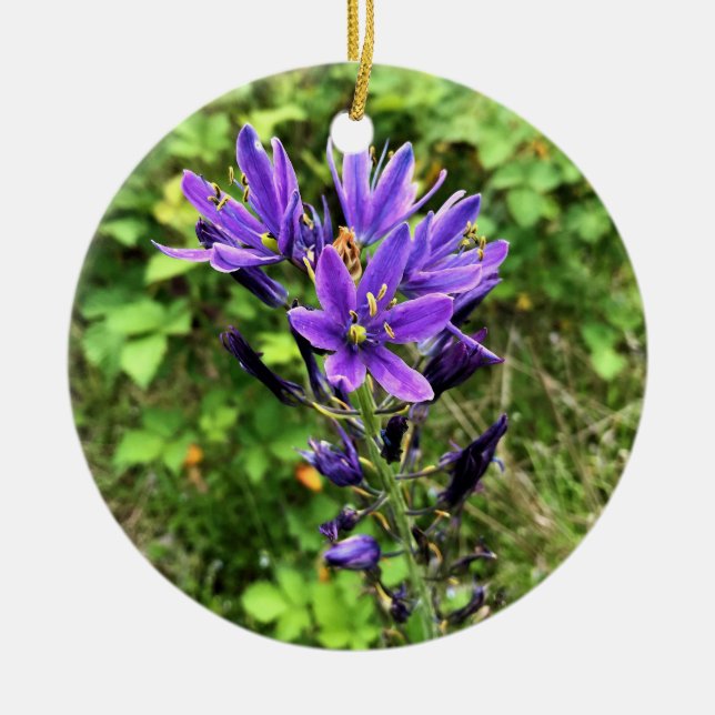 Ornamento De Cerâmica Flores selvagens no Caminho, Oregon (Frente)