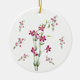Ornamento De Cerâmica Flores Vintage - Centaurium por Mary Vaux Walcott