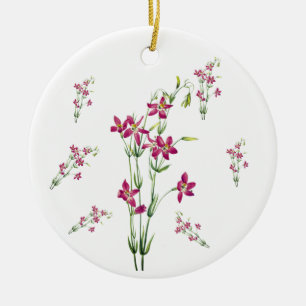 Ornamento De Cerâmica Flores Vintage - Centaurium por Mary Vaux Walcott