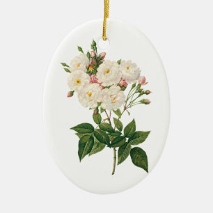 Ornamento De Cerâmica Flores Vintage Floral Blush Noisette Rosa Redoute