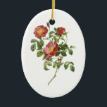 Ornamento De Cerâmica Flores Vintage Rosa vermelha Floral do Amor por Re<br><div class="desc">Ilustração de safra botânica com design de flor apresentando um monte de rosas vermelhas florescentes,  Rosa de Amor (Rosa bomila) de um jardim de primavera. Esta variedade de rosa tem 5 pétalas. Pelo famoso artista de botânica floral Pierre Joseph Redoute (1759-1840).</div>