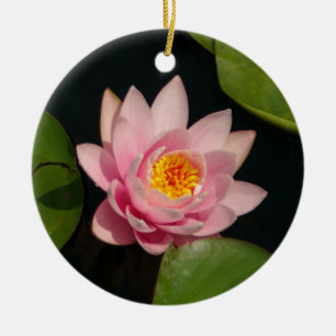 Ornamento De Cerâmica Flores Waterlily De Lotus Rosa