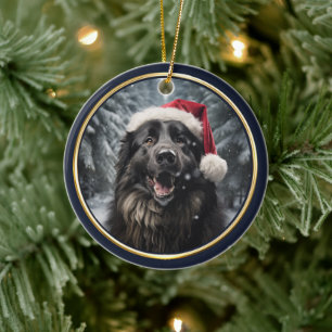 Ornamento De Cerâmica Floresta de inverno Belga Sheepdog Santa Hat