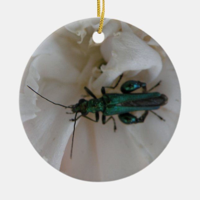 Ornamento De Cerâmica Flower Beetle Custom Birthday (Frente)