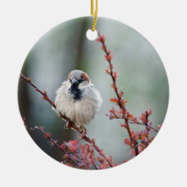 Ornamento De Cerâmica Fluffy Grump