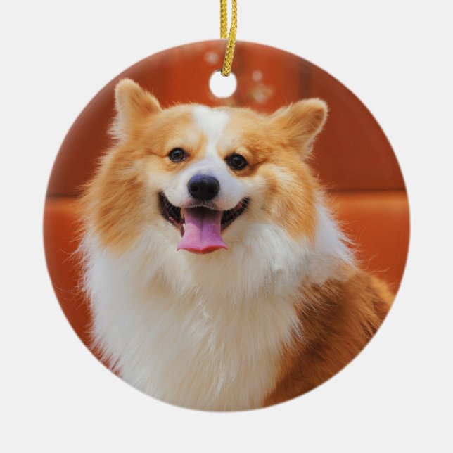 Ornamento De Cerâmica Fluffy Pembroke Welsh Corgi (Frente)