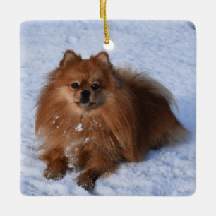 Ornamento De Cerâmica Fluffy Pomeranian Puppy Dog na neve