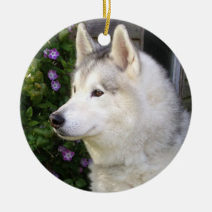 Ornamento De Cerâmica Fluffy Siberian Husky Puppy Dog