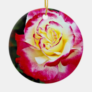 Ornamento De Cerâmica Fluxo branco híbrido de "Andeli" do rosa de chá 