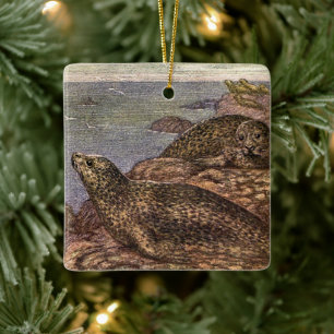 Ornamento De Cerâmica Focas, Animais Marinhos Antigos Animais do Oceano