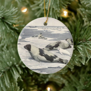 Ornamento De Cerâmica Focas Harpa Antigas na Neve Ártica por Louis Fuert