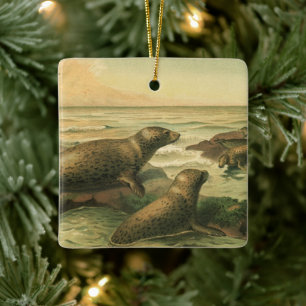 Ornamento De Cerâmica Focas-Leopardo, Animais Aquáticos Antigos Vida Mar