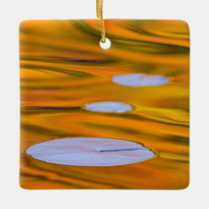 Ornamento De Cerâmica Folha de lírio em água laranja, Canadá