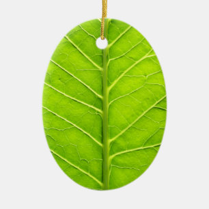 Ornamento De Cerâmica Folha verde