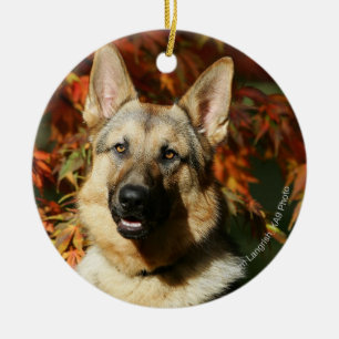 Ornamento De Cerâmica Folhas de outono do german shepherd