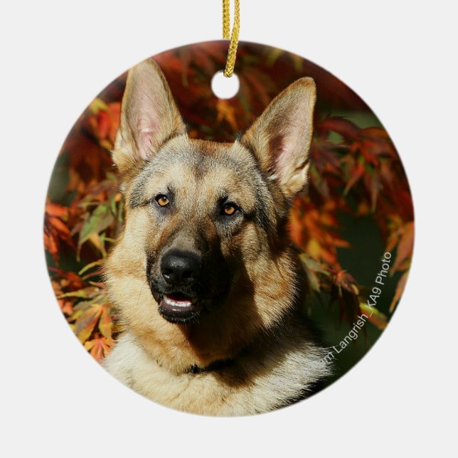 Ornamento De Cerâmica Folhas de outono do german shepherd (Frente)