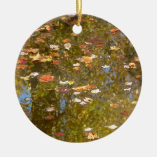 Ornamento De Cerâmica Folhas de outono e Reflexão de Fluxo em Greenbelt