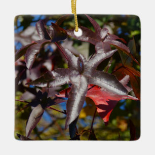 Ornamento De Cerâmica Folhas de Sweetgum no Outono