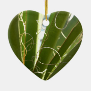 Ornamento De Cerâmica Folhas de Yucca Fotografia Verde da Natureza