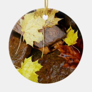 Ornamento De Cerâmica Folhas Molhadas e Rochas Fotografia da Natureza de