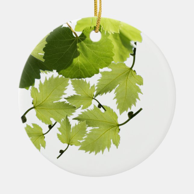 Ornamento De Cerâmica Folhas Verdes da Vinha de Grama (Frente)