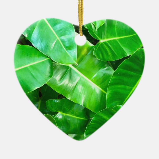 Ornamento De Cerâmica Folhas verdes Palm Folha Floresta tropical (Frente)