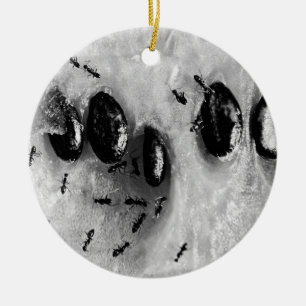 Ornamento De Cerâmica formigas surfando