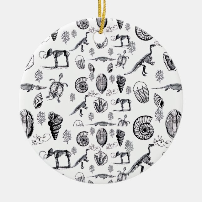 Ornamento De Cerâmica Fósseis (Frente)