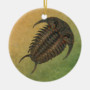 Ornamento De Cerâmica Fóssil Trilobite de Ceraurus