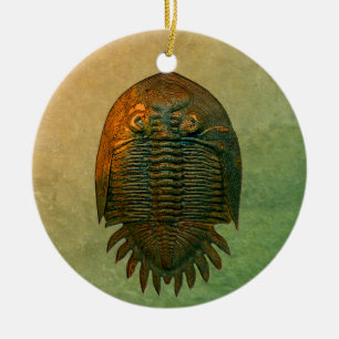 Ornamento De Cerâmica Fóssil Trilobite de Neometacanthus