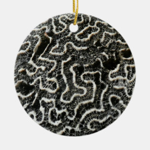 Ornamento De Cerâmica Foto Abstrata da Natureza Coral Preto e Branco II