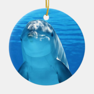 Ornamento De Cerâmica Foto amigável do golfinho